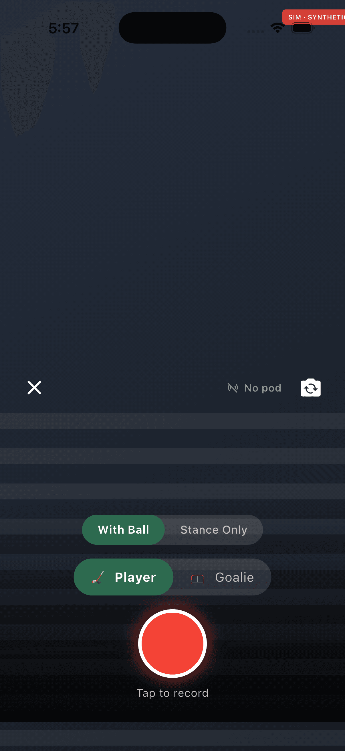 Record screen with With Ball / Stance Only toggle and big record button